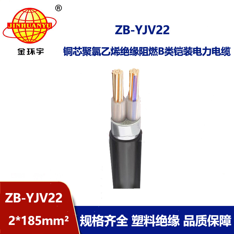 金環(huán)宇電纜 銅芯 yjv22電纜 鎧裝阻燃電力電纜ZB-YJV22-2X185 